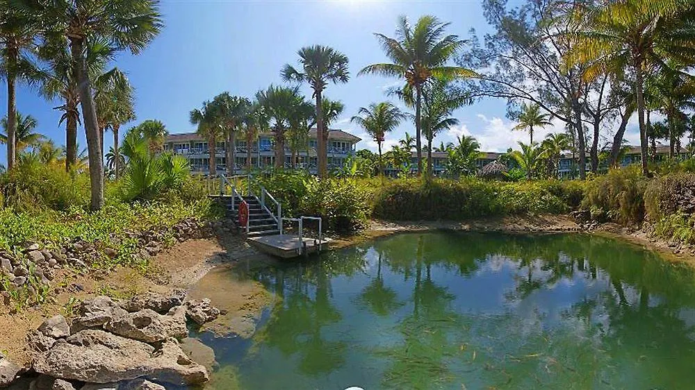 Couples Negril (Adults Only) Hotel Resort